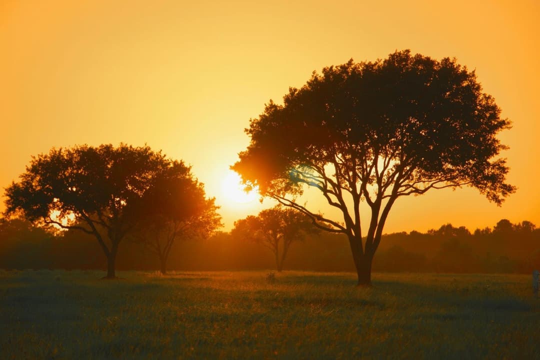 What Is Personal Property Tax in Texas in 2026?